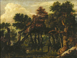 The Swamp