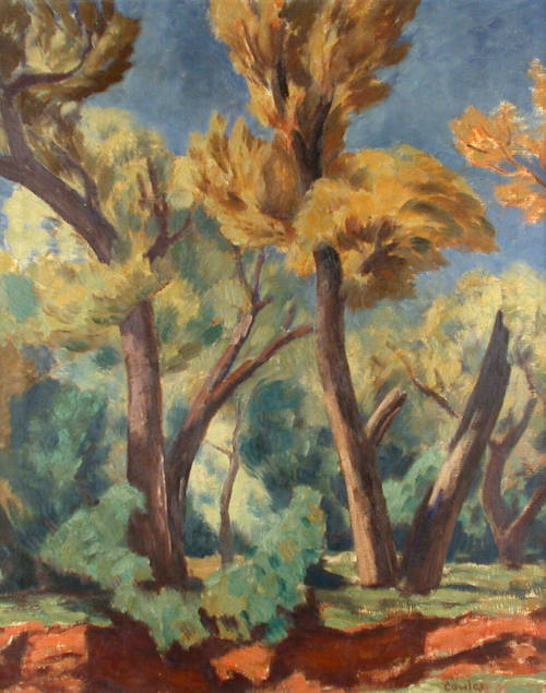 Cottonwoods