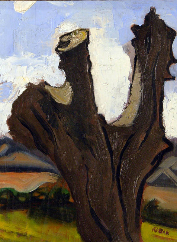 Cottonwood Stump