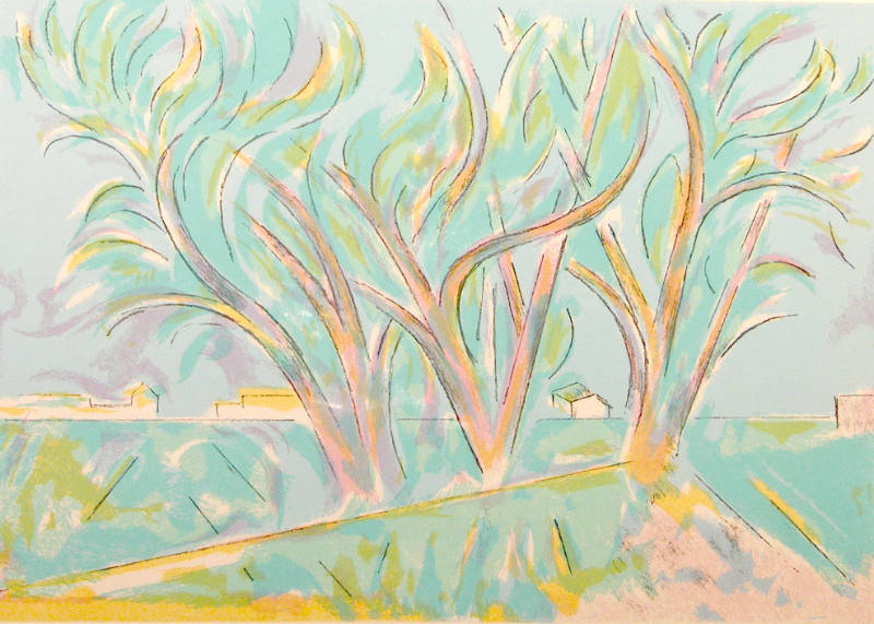 Trees in Ranchitos II