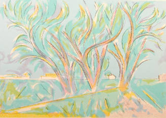 Trees in Ranchitos II