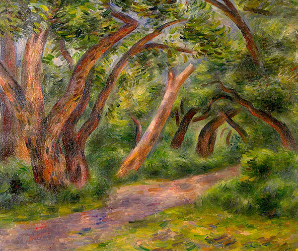 Cottonwoods