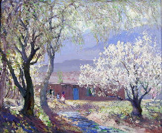 Acequia Madre
