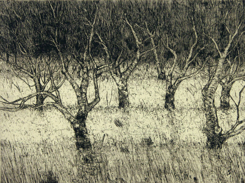 Cherry Orchard