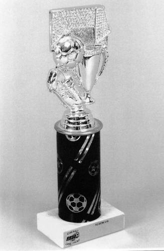 Favorite Objects: Trophy