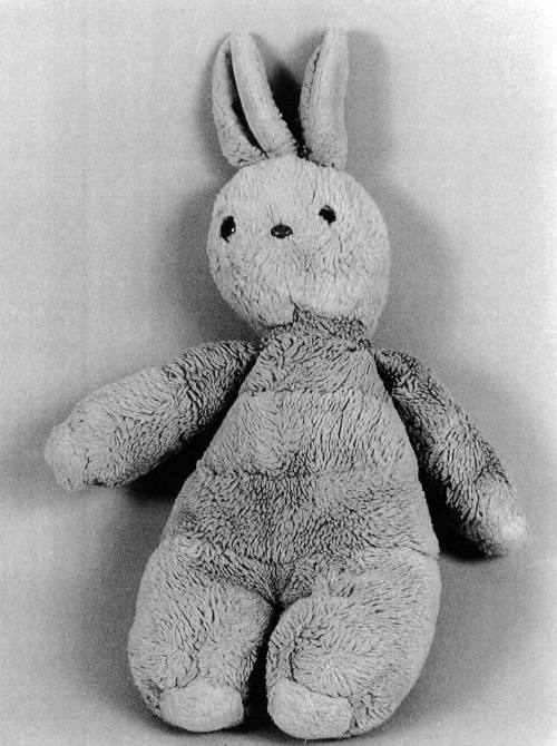 Favorite Objects: Rabbit
