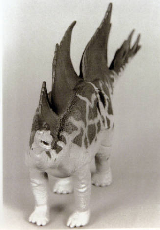 Favorite Objects: Triceratops