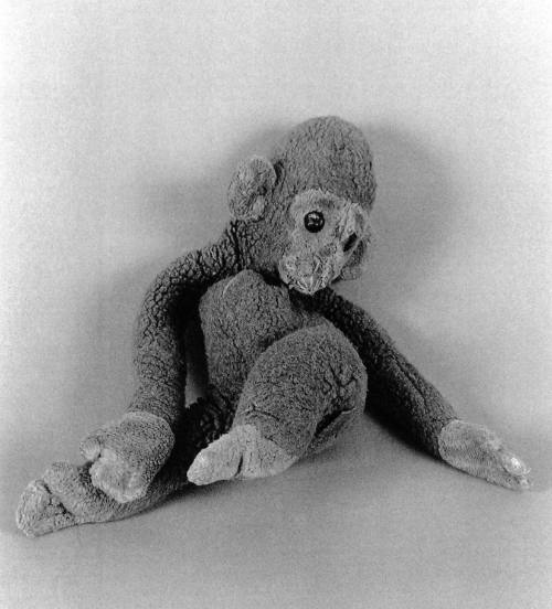 Favorite Objects: Monkey