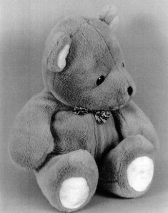 Favorite Objects: Teddy Bear