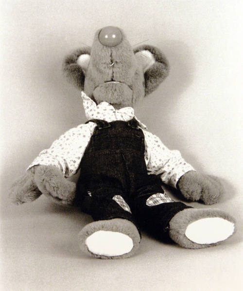 Favorite Objects: Bear