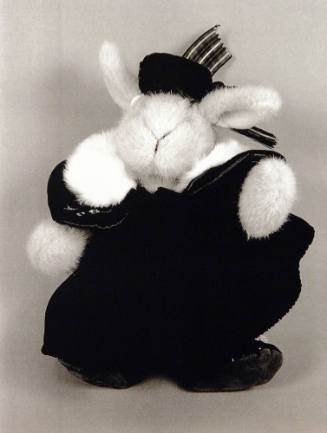 Favorite Objects: Rabbit