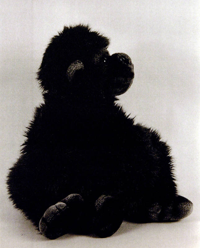 Favorite Objects: Gorilla