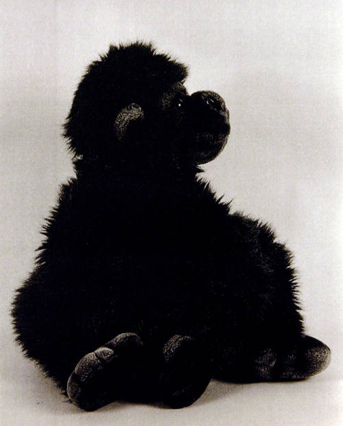 Favorite Objects: Gorilla
