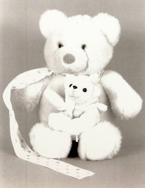 Favorite Objects: Teddy Bear