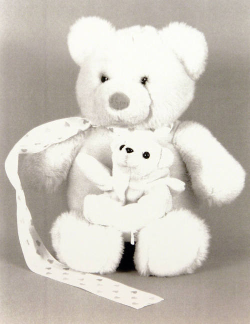Favorite Objects: Teddy Bear