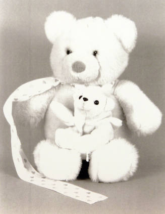 Favorite Objects: Teddy Bear