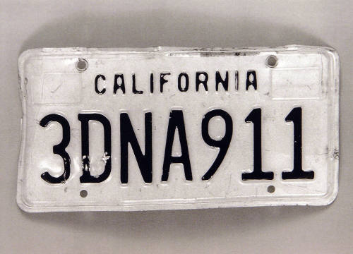 Favorite Objects: License Plate