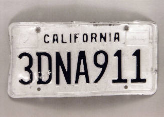 Favorite Objects: License Plate