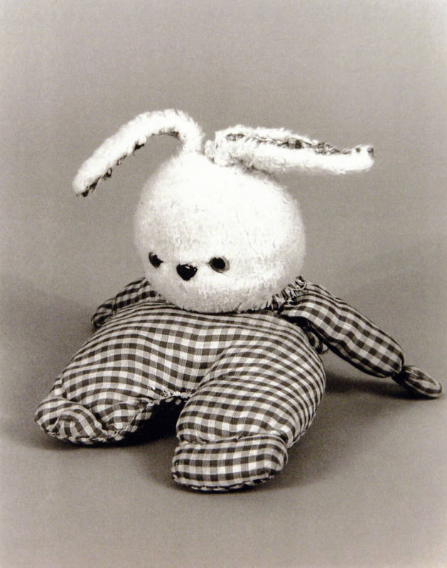 Favorite Objects: Rabbit