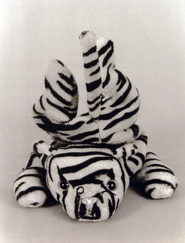 Favorite Objects: Tiger