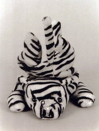 Favorite Objects: Tiger