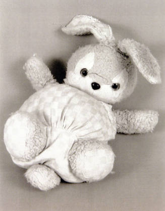 Favorite Objects: Rabbit