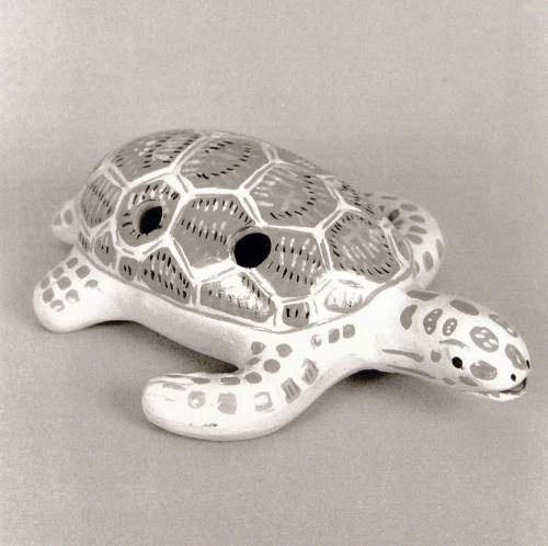 Favorite Objects: Turtle
