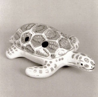 Favorite Objects: Turtle