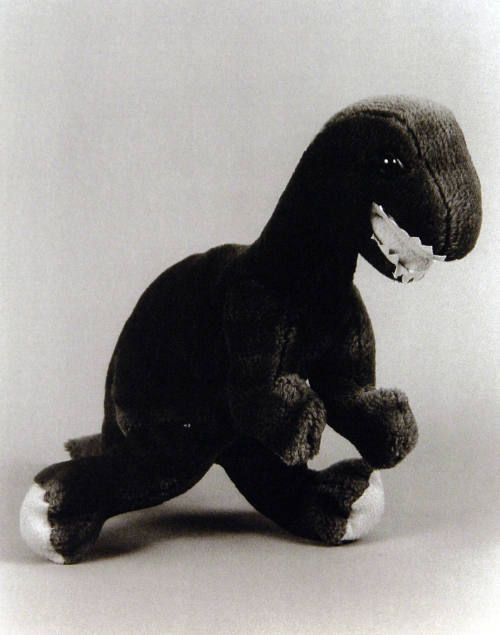 Favorite Objects: Dinosaur