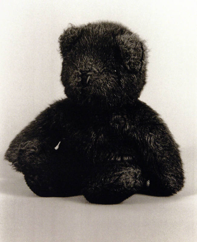 Favorite Objects: Teddy Bear