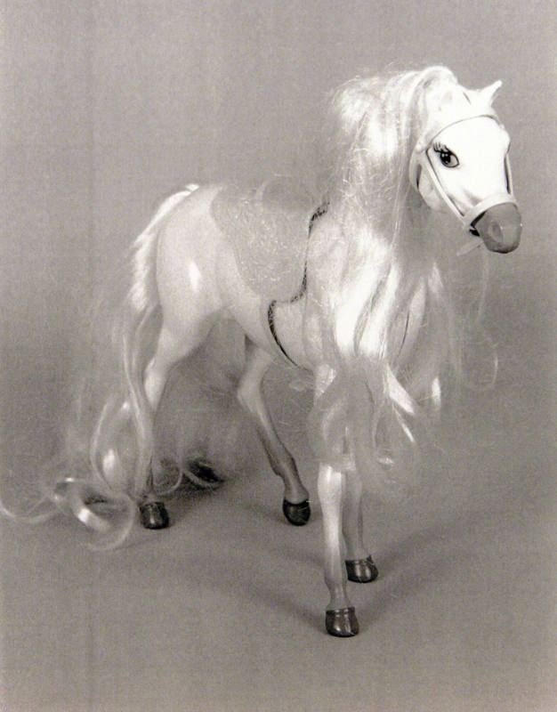 Favorite Objects: Horse