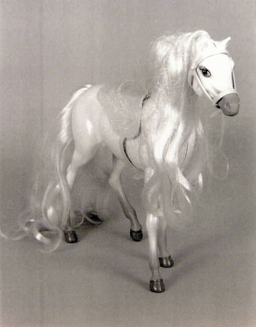 Favorite Objects: Horse