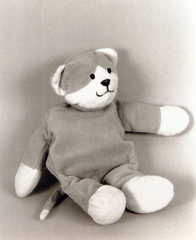 Favorite Objects: Bear