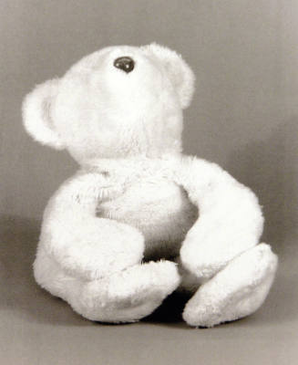 Favorite Objects: Teddy Bear
