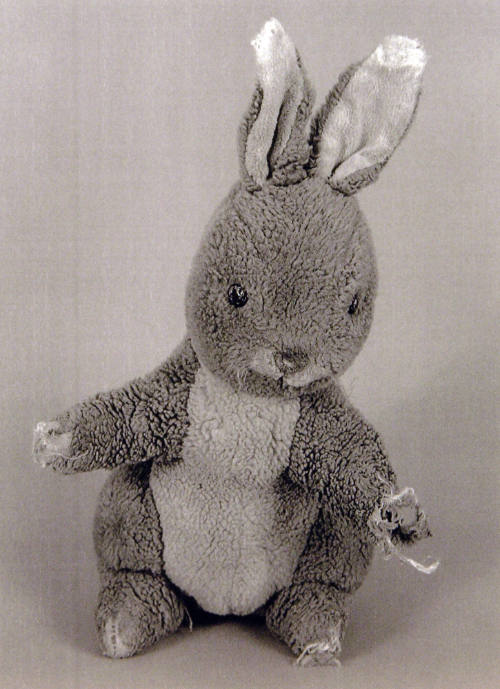 Favorite Objects: Rabbit
