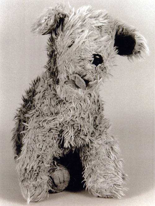 Favorite Objects: Dog