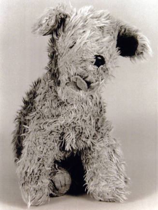 Favorite Objects: Dog