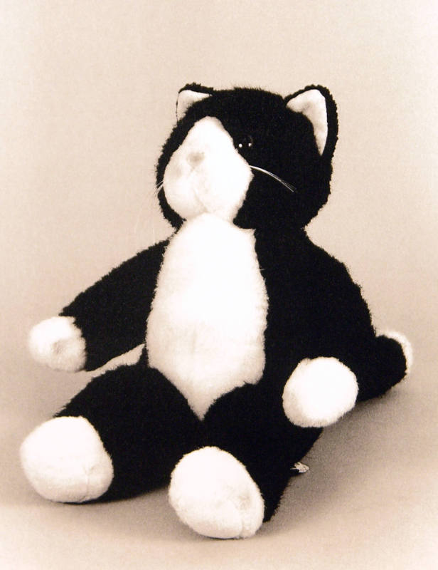 Favorite Objects: Cat