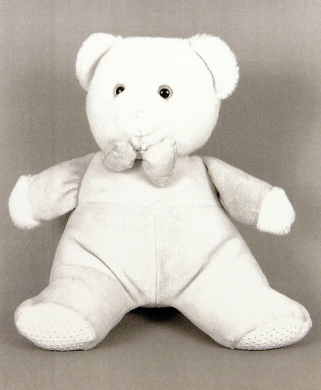 Favorite Objects: Teddy Bear