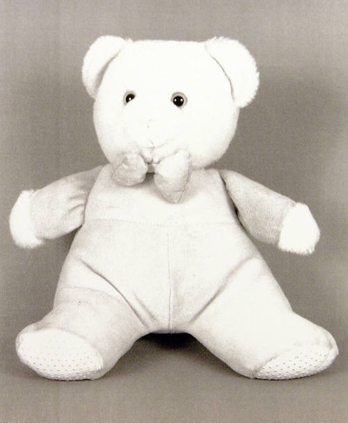 Favorite Objects: Teddy Bear