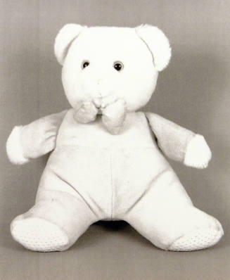 Favorite Objects: Teddy Bear