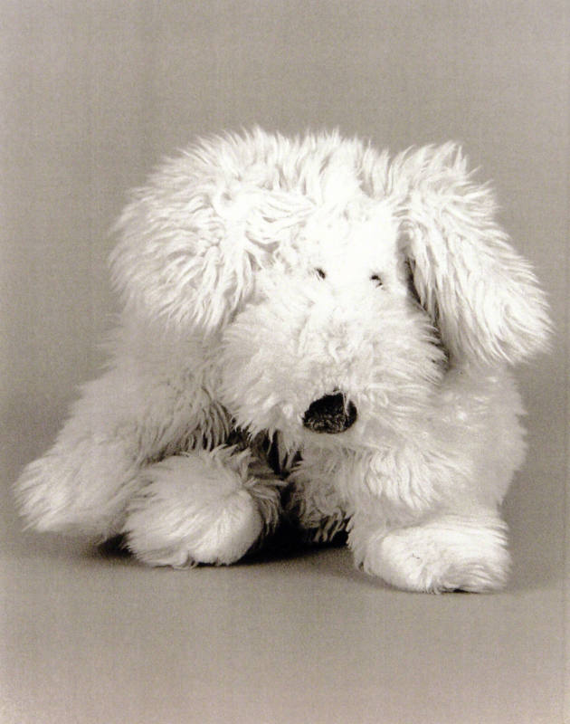 Favorite Objects: Dog