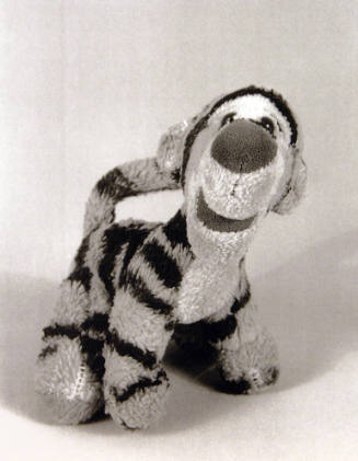 Favorite Objects: Tiger