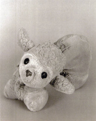 Favorite Objects: Toy