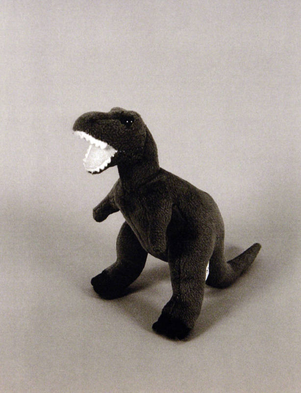 Favorite Objects: Dinosaur