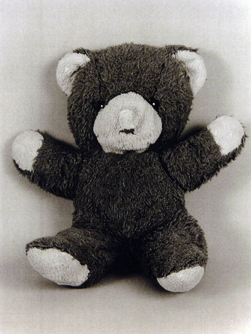Favorite Objects: Teaddy Bear