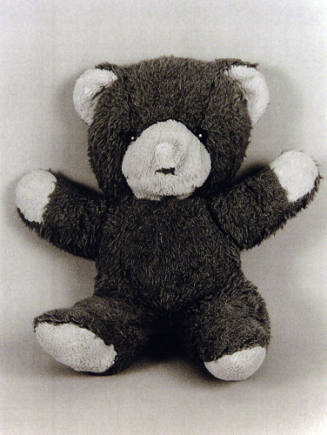 Favorite Objects: Teaddy Bear