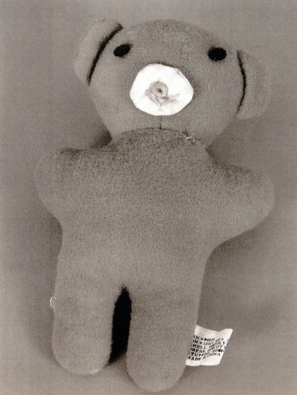 Favorite Objects: Teddy Bear