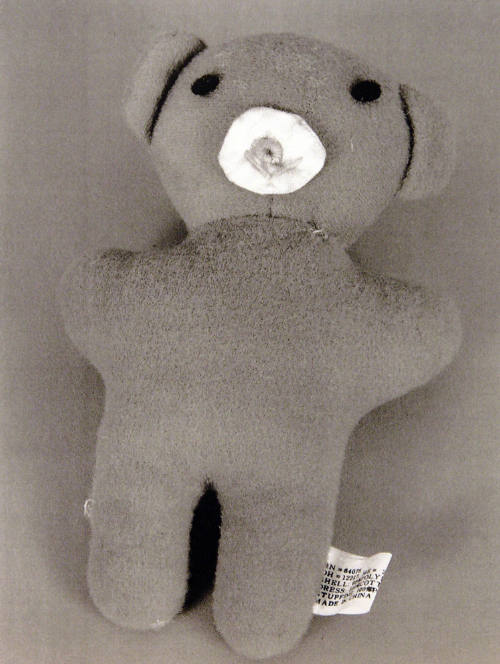 Favorite Objects: Teddy Bear