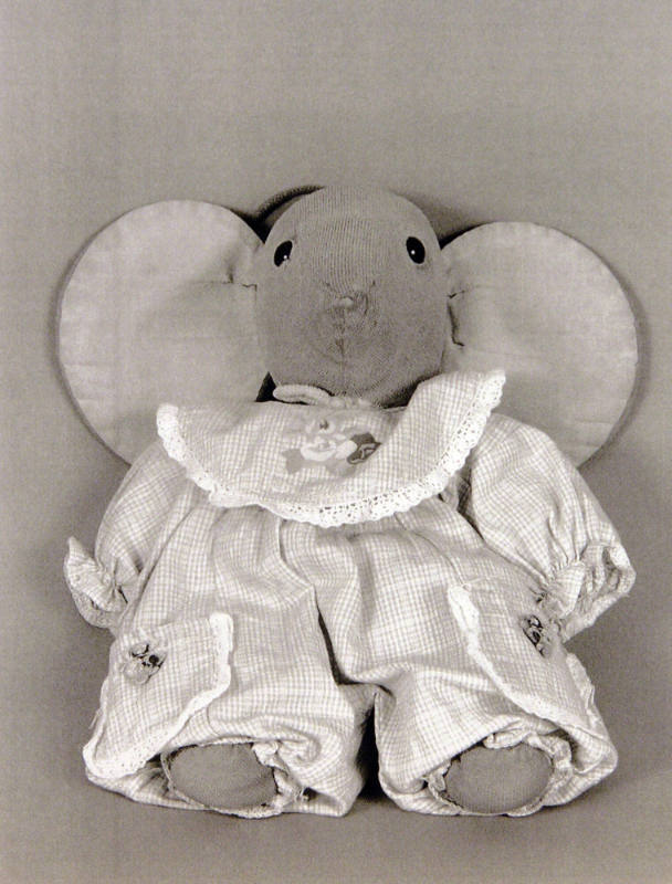 Favorite Objects: Elephant